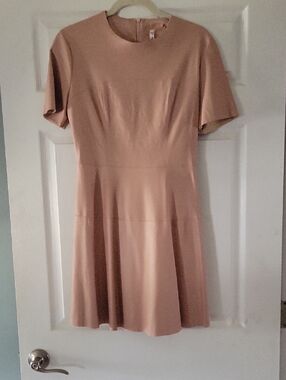 Short-Sleeve A-Line Vegan Leather Mini Dress in Blush Pink